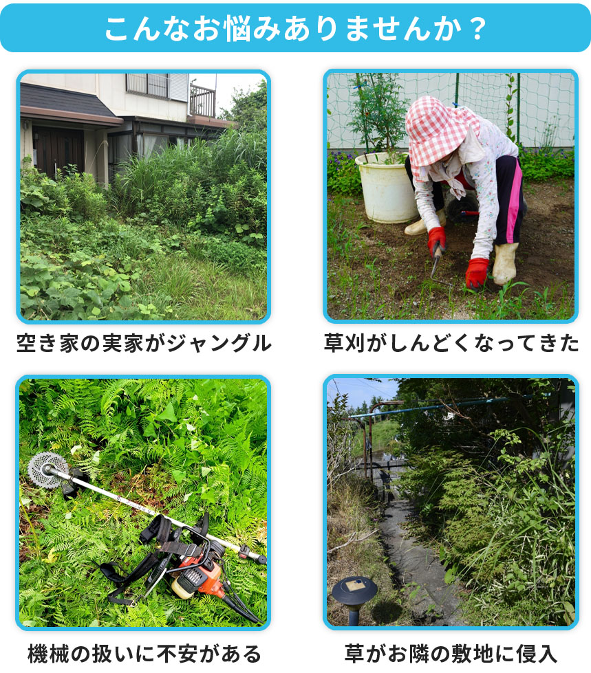 プロの草刈り業者が、伸びた雑草を最短即日スッキリ除去します 