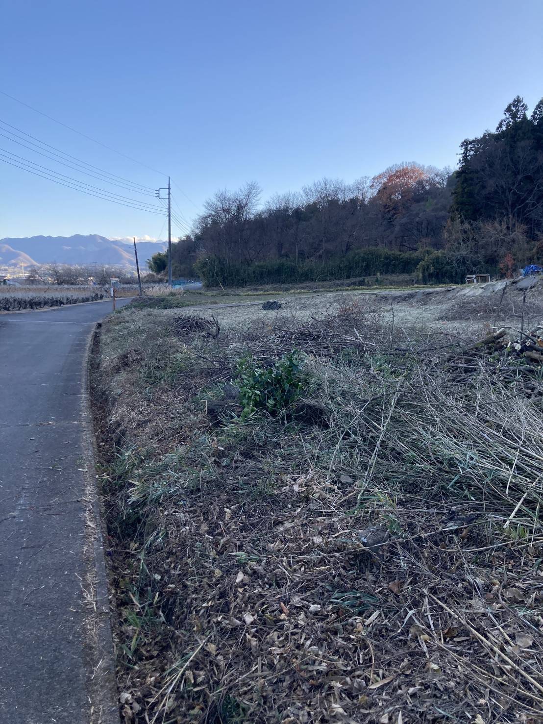 230坪の草刈り・伐採工事(畑の更地化作業)