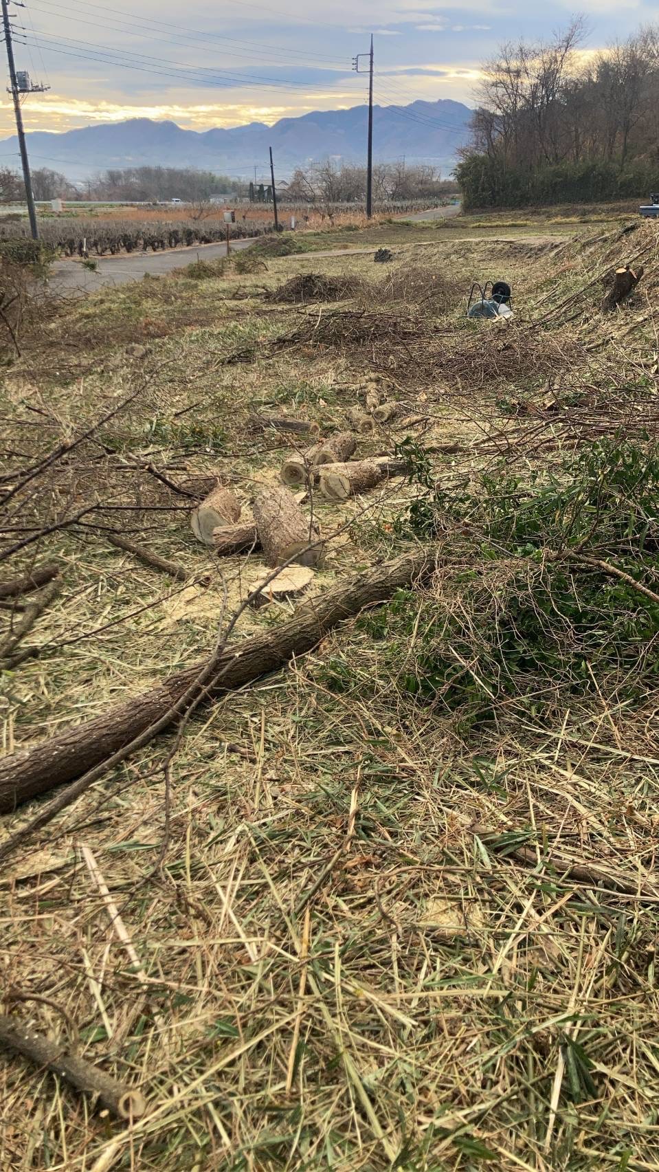 230坪の草刈り・伐採工事(畑の更地化作業)